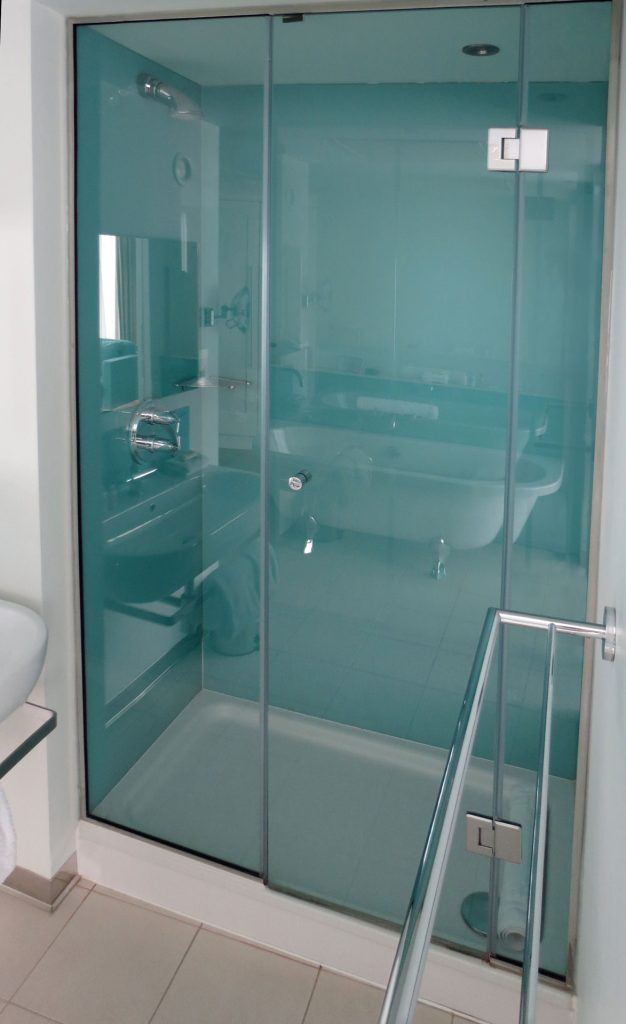 Glass Panels 8 Glass Panelled Shower Door